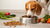 Can Dogs Eat Food with Paprika? Understanding the Risks and Safe Alternatives-140294848751