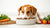 Can Dogs Eat Food with Seasoning? A Comprehensive Guide for Pet Owners