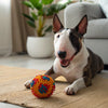 Can Dogs Eat Freeze-Dried Food? A Comprehensive Guide for Pet Owners