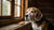 Can Dogs Eat French Fries? Understanding the Risks and Alternatives