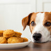 Can Dogs Eat Fried Food? Understanding the Risks and Safe Alternatives