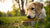Can Dogs Eat Frozen Kibble? Understanding the Benefits and Safety of Feeding Frozen Dog Food