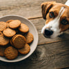 Can Dogs Eat Ginger Nut Biscuits? Understanding the Risks and Alternatives