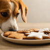 Can Dogs Eat Gingerbread Cookies? A Comprehensive Guide for Pet Owners