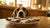 Can Dogs Eat Gingerbread Cookies? Understanding the Risks and Safe Alternatives-140929859823