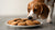 Can Dogs Eat Gingersnap Cookies Safely? What Pet Owners Should Know-141105594607