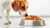 Can Dogs Eat Goldfish Food? Understanding the Risks and Alternatives-140211257583