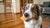 Can Dogs Eat Good Day Biscuits? Understanding the Risks and Safety-141106905327