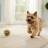Can Dogs Eat Granola? Exploring the Safety and Benefits for Our Furry Friends