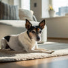 Can Dogs Eat Green Beans? A Comprehensive Guide for Pet Owners
