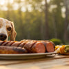 Can Dogs Eat Grilled Food? A Guide to Safe Summer Cookouts