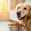 Can Dogs Eat Home Food? A Comprehensive Guide to Feeding Your Furry Friend