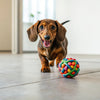 Can Dogs Eat Jalapeño Peppers? Exploring the Risks and Alternatives
