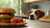 Can Dogs Eat Junk Food? The Hidden Dangers and Safer Alternatives-140410847471