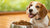 Can Dogs Eat Just Wet Food? A Comprehensive Guide to Feeding Your Furry Friend