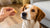 Can Dogs Eat Lady Finger Cookies? A Comprehensive Guide for Dog Owners-140922781935
