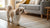 Can Dogs Eat Lentils? A Comprehensive Guide to Feeding Your Canine Friend