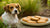 Can Dogs Eat Macadamia Nut Cookies? Understanding the Risks and Safety Measures-140926189807