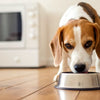 Can Dogs Eat Microwaved Food? A Comprehensive Look at the Risks and Benefits