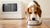 Can Dogs Eat Microwaved Food? A Comprehensive Look at the Risks and Benefits-140139233519