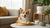 Can Dogs Eat Mint Plant? Understanding Mint's Safety for Your Furry Friend