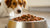 Can Dogs Eat Moldy Dog Food? Understanding the Risks and Prevention-140403409135