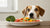 Can Dogs Eat Moldy Food? Understanding the Risks and Ensuring Safety