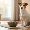 Can Dogs Eat Mouldy Food? Understanding the Dangers and Keeping Our Pets Safe