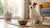 Can Dogs Eat Mouldy Food? Understanding the Dangers and Keeping Our Pets Safe