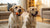Can Dogs Eat Oat Biscuits? A Complete Guide for Pet Owners