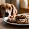 Can Dogs Eat Oatmeal Raisin Cookies? Understanding the Risks and Realities