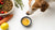 Can Dogs Eat Olive Oil on Their Food? Unpacking the Benefits and Risks