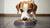Can Dogs Eat Onion Cooked in Food? Understanding Onion Toxicity in Dogs