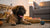 Can Dogs Eat Onions? Understanding the Risks and Safe Practices