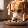 Can Dogs Eat Onions Cooked in Food? Understanding the Risks and Effects
