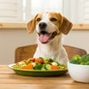 Can Dogs Eat Only Vegetarian Food? Understanding Canine Nutrition for Plant-Based Diets