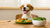 Can Dogs Eat Only Vegetarian Food? Understanding Canine Nutrition for Plant-Based Diets