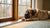 Can Dogs Eat Oysters? Understanding the Benefits and Risks
