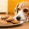 Can Dogs Eat Peanut Butter Oatmeal Cookies? A Comprehensive Guide for Pet Owners