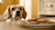 Can Dogs Eat Pecan Cookies? Understanding the Risks and Alternatives