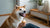 Can Dogs Eat Plain Biscuits? A Comprehensive Guide for Pet Owners