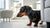 Can Dogs Eat Pomegranate? A Comprehensive Guide for Pet Owners