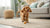 Can Dogs Eat Pretzels? Understanding the Risks and Alternatives