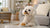 Can Dogs Eat Prunes? The Truth About This Dried Fruit