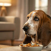 Can Dogs Eat Pumpkin Seeds? A Comprehensive Guide for Pet Owners