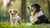 Can Dogs Eat Puppy Food? Understanding the Nutritional Needs of Dogs at Different Life Stages