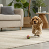 Can Dogs Eat Radishes? Understanding the Benefits and Precautions