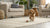 Can Dogs Eat Radishes? Understanding the Benefits and Precautions