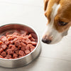 Can Dogs Eat Raw Cat Food? Exploring Safety, Nutrition, and Best Practices