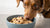 Can Dogs Eat Raw Cookie Dough? Understanding the Risks and Precautions